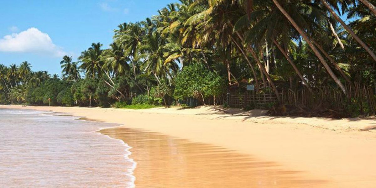Tropical Paradise Idyllic Beach. Sri Lanka